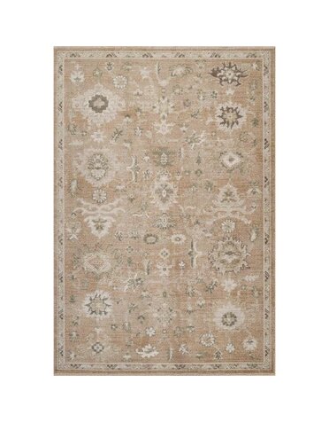 Abani Rugs Evelyn Traditional Vintage Rug, Terracotta Rust and Ivory, 6' x 9'5", Rugs Available for Local Delivery or Pick Up