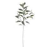 Frosty Eucalyptus, 41 in.