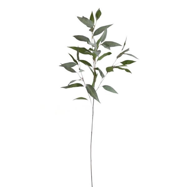 Frosty Eucalyptus, 41 in.