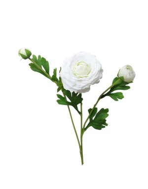 Ranunculus Bloom, 18 in., White