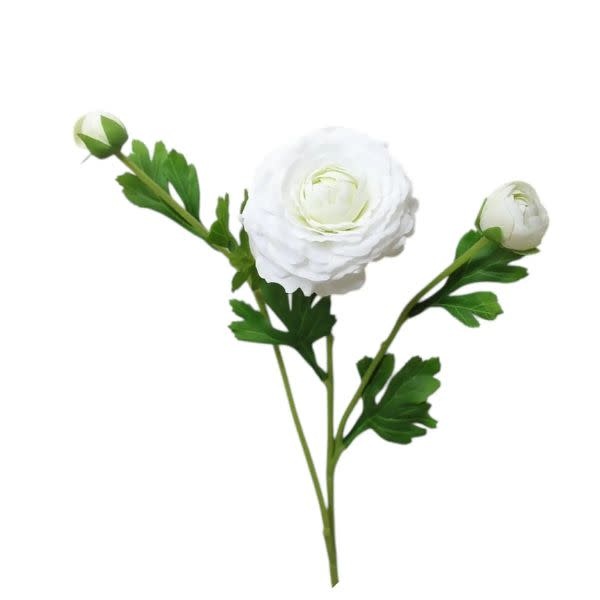 Ranunculus Bloom, 18 in., White