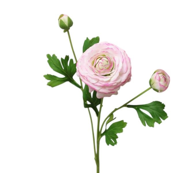 Ranunculus Bloom, 18 in., Lavender