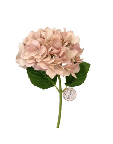 Hydrangea Bloom, 19 in., Rustic Mauve Blush