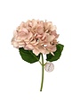 Hydrangea Bloom, 19 in., Rustic Mauve Blush