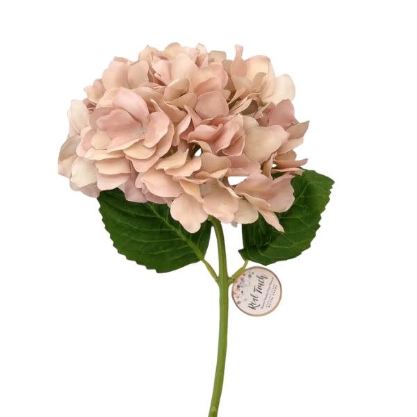Hydrangea Bloom, 19 in., Rustic Mauve Blush