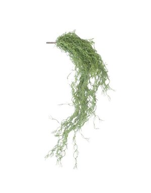 Green Moss, 30 in.