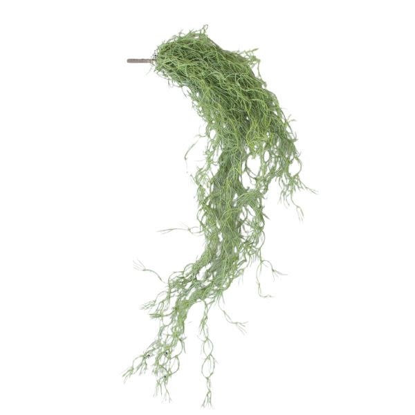 Green Moss, 30 in.