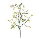 Botanica #3519, 48 in.