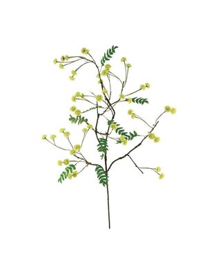 Botanica #3519, 48 in.