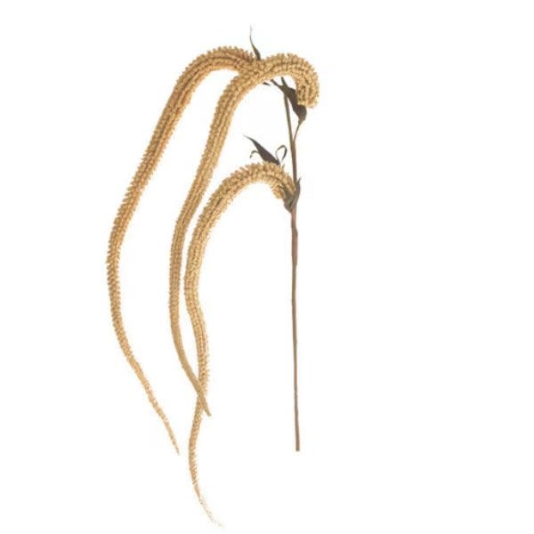 Botanica #9031, 42.5 in.