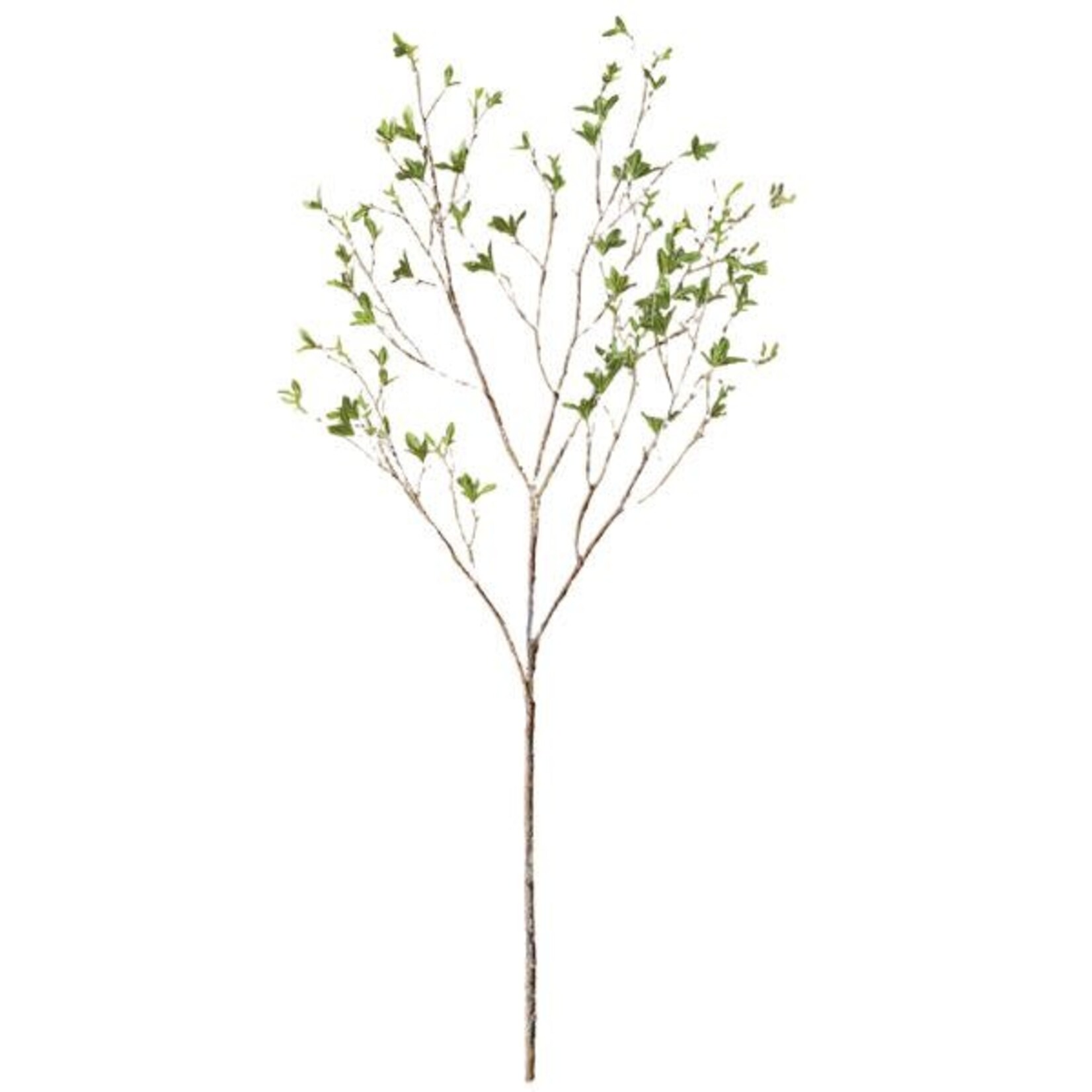 Budding Leaf Branch Spray, Green, 46.5 in.