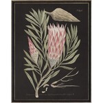 Antique Curiosities Inc Vintage Flower D Artwork, 16 X 20 in.