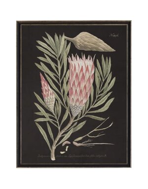 Antique Curiosities Inc Vintage Flower D Artwork, 16 X 20 in.