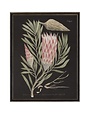 Antique Curiosities Inc Vintage Flower D Artwork, 16 X 20 in.