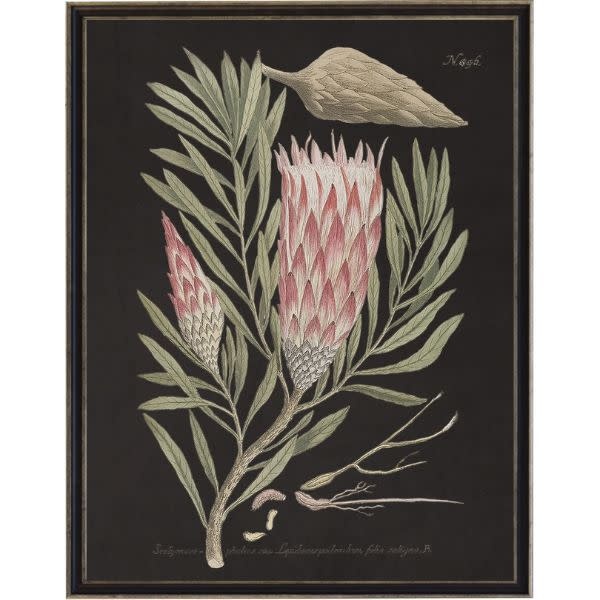 Antique Curiosities Inc Vintage Flower D Artwork, 16 X 20 in.