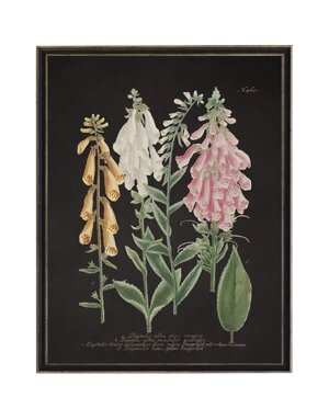 Antique Curiosities Inc Vintage Flower V Artwork, 12 X 16 in.