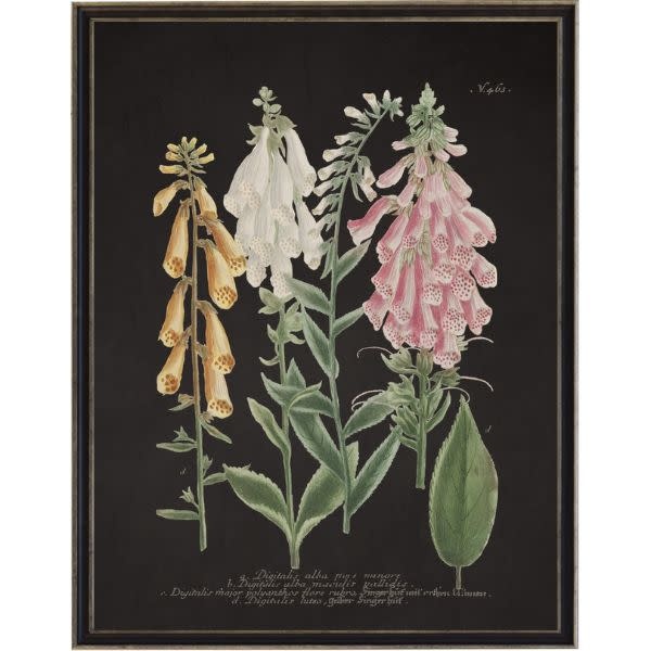 Antique Curiosities Inc Vintage Flower V Artwork, 12 X 16 in.