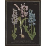 Antique Curiosities Inc Vintage Flower I Artwork, 8 X 10 in.