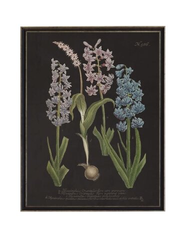 Antique Curiosities Inc Vintage Flower I Artwork, 8 X 10 in.