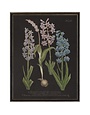 Antique Curiosities Inc Vintage Flower I Artwork, 8 X 10 in.