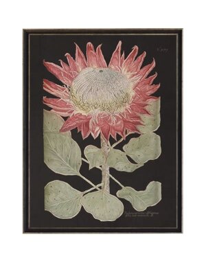 Antique Curiosities Inc Vintage Flower A Artwork, 8 X 10 in.