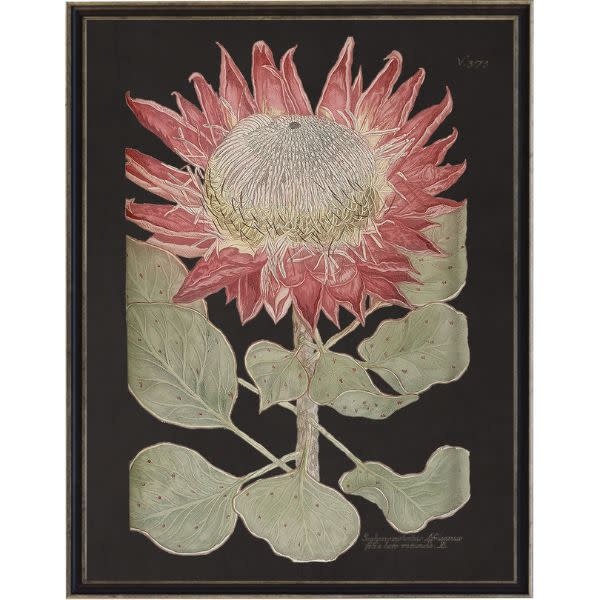 Antique Curiosities Inc Vintage Flower A Artwork, 8 X 10 in.