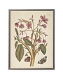 Antique Curiosities Inc Vintage Butterfly and Flower A Artwork, 12 X 16 in.
