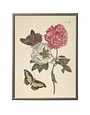 Antique Curiosities Inc Vintage Butterfly and Flower E Artwork, 12 X 16 in.