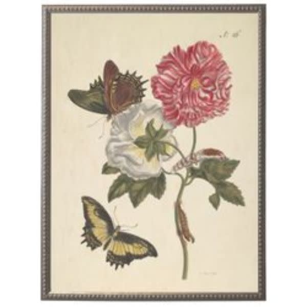 Antique Curiosities Inc Vintage Butterfly and Flower E Artwork, 12 X 16 in.