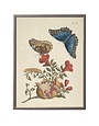 Antique Curiosities Inc Vintage Butterfly and Flower D Artwork, 12 X 16 in.