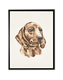 Antique Curiosities Inc Watercolor P Artwork, Dachshund, 8 X 10 in.
