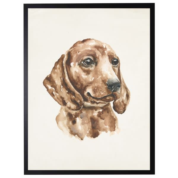 Antique Curiosities Inc Watercolor P Artwork, Dachshund, 8 X 10 in.