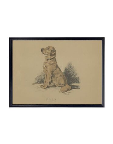 Antique Curiosities Inc Framed Vintage Dog Sketch O Artwork, 10 X 8 in.