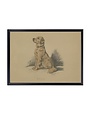 Antique Curiosities Inc Framed Vintage Dog Sketch O Artwork, 10 X 8 in.