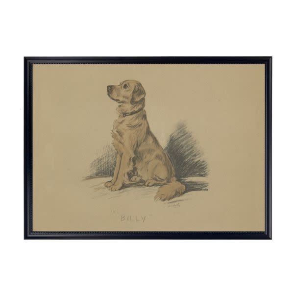 Antique Curiosities Inc Framed Vintage Dog Sketch O Artwork, 10 X 8 in.