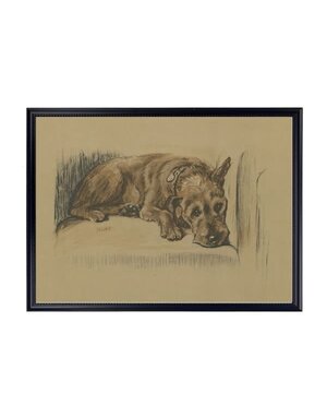 Antique Curiosities Inc Framed Vintage Dog Sketch E Artwork, 10 X 8 in.