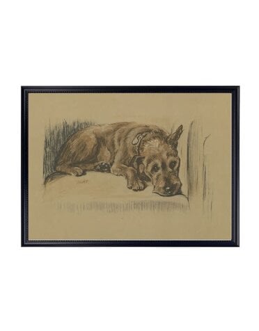 Antique Curiosities Inc Framed Vintage Dog Sketch E Artwork, 10 X 8 in.