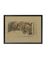 Antique Curiosities Inc Framed Vintage Dog Sketch E Artwork, 10 X 8 in.