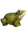 Billy Bullfrog, 18.5 X 14 X 11.5 in.