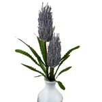 Cone Flower, 27 in.