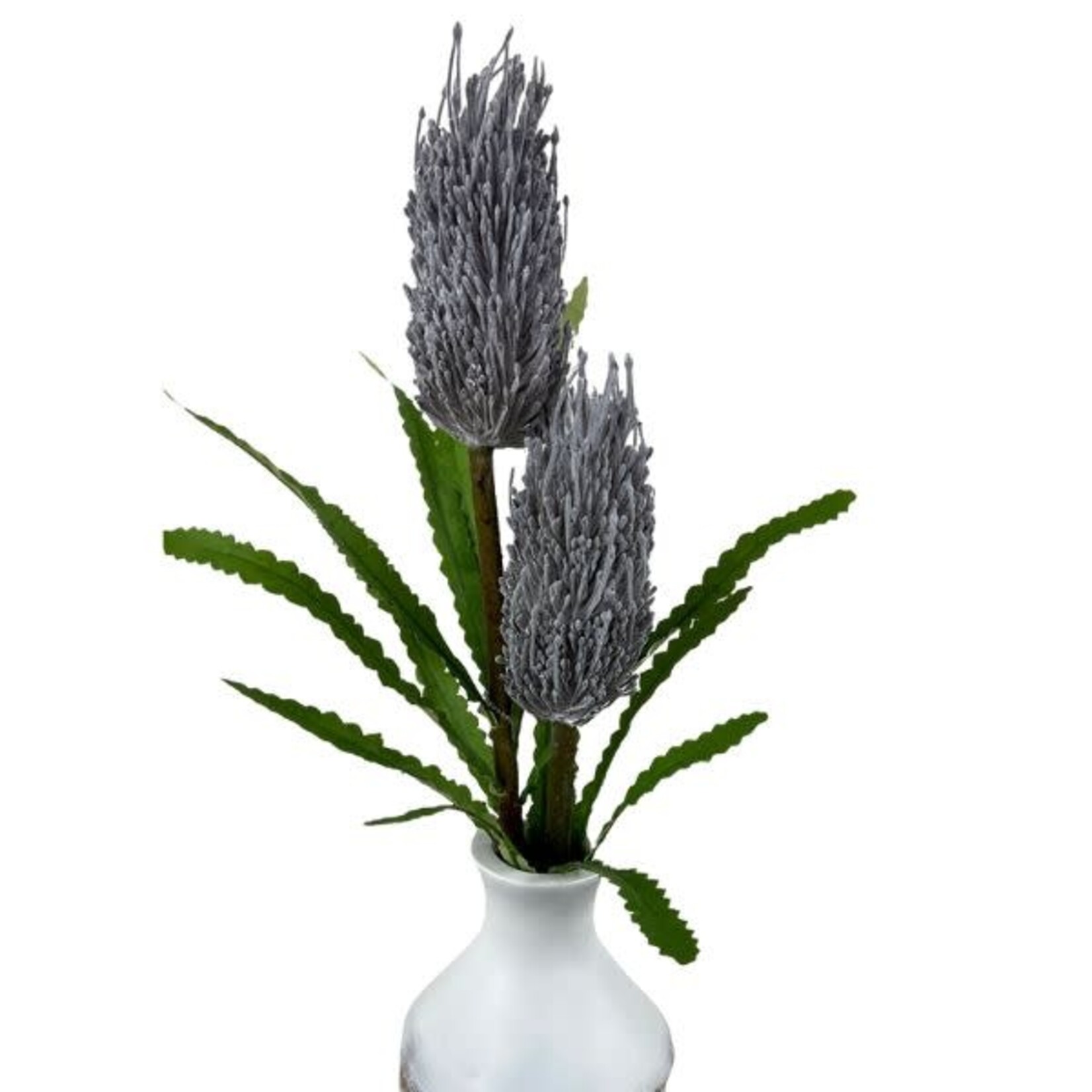Cone Flower, 27 in.