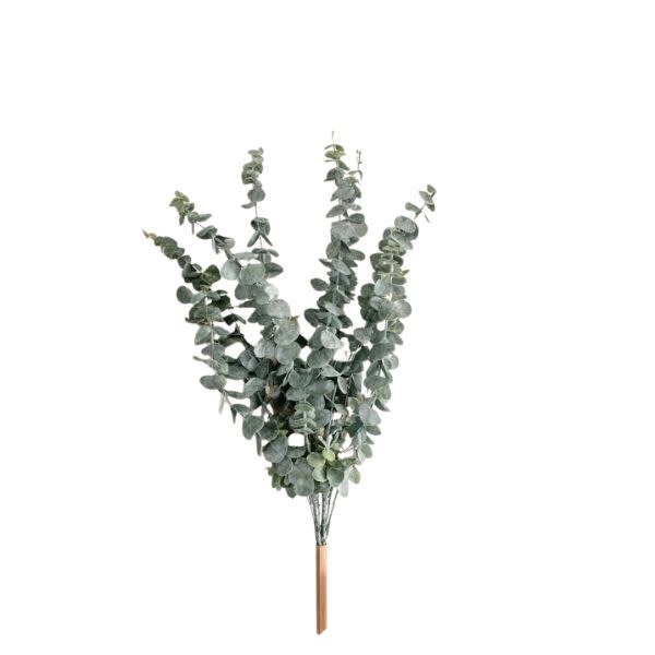 Baby Blue Eucalyptus, 22 in.