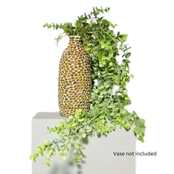 Light Green Hanging Eucalyptus, 42 in.