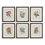 Orchid Botanical Framed Print, Assorted Designs, Priced Individually, 21 X 25