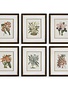 Orchid Botanical Framed Print, Assorted Designs, Priced Individually, 21 X 25, Artwork Available for Local Delivery or Pick Up