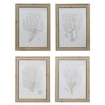 Wood Framed Glass Wall Décor with Coral Image, 4 Styles, Priced Individually
