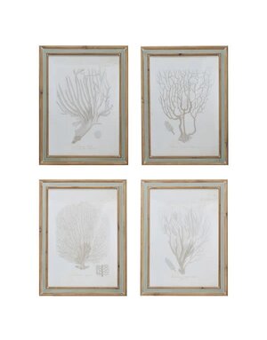 Wood Framed Glass Wall Décor with Coral Image, 4 Styles, Priced Individually