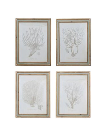 Wood Framed Glass Wall Décor with Coral Image, 4 Styles, Priced Individually