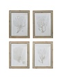 Wood Framed Glass Wall Décor with Coral Image, 4 Styles, Priced Individually