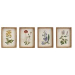 Framed Flower Artwork, Assorted Designs, 11.75 X 15.75 in.